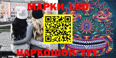 индика Кудрово