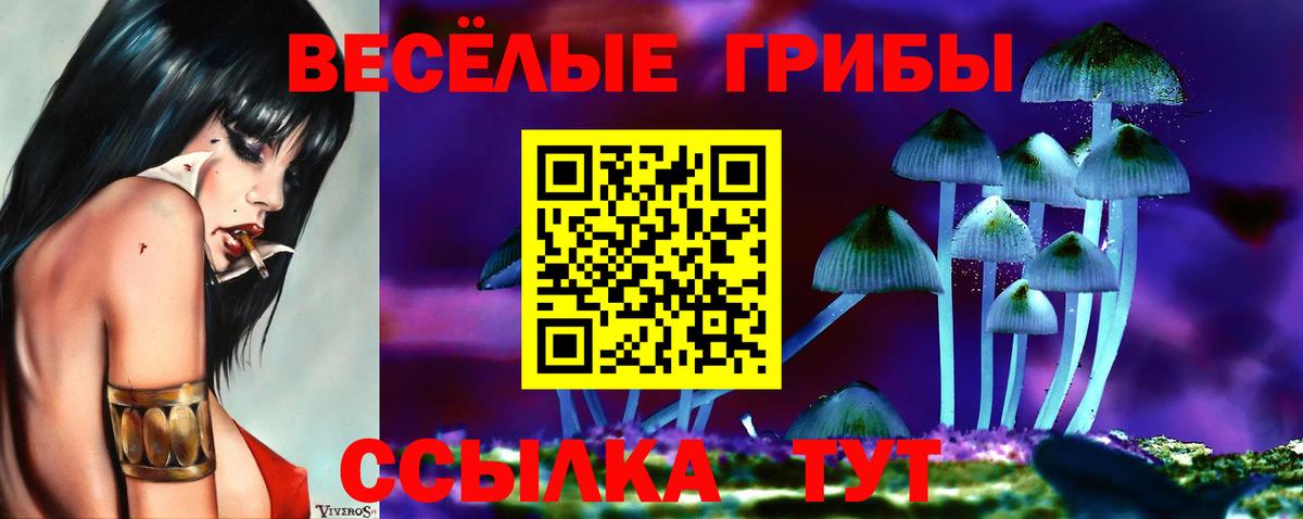 Галлюциногенные грибы ЛСД  Вход с VPN  где можно купить наркотик  Печора 